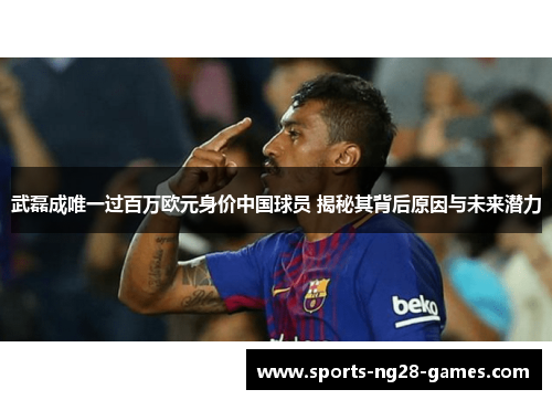 武磊成唯一过百万欧元身价中国球员 揭秘其背后原因与未来潜力