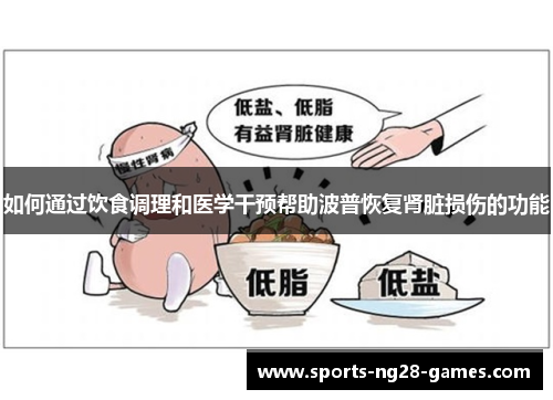 如何通过饮食调理和医学干预帮助波普恢复肾脏损伤的功能
