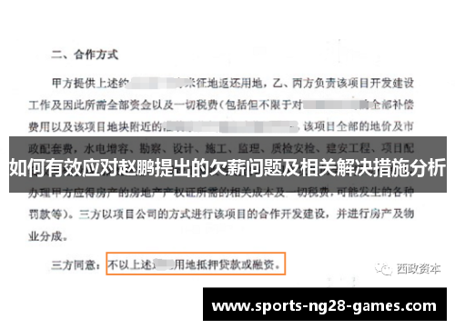 如何有效应对赵鹏提出的欠薪问题及相关解决措施分析