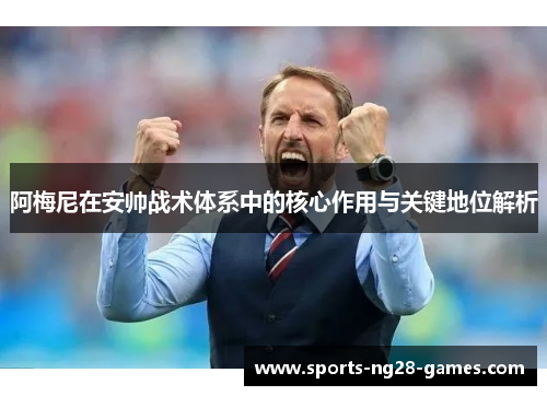 阿梅尼在安帅战术体系中的核心作用与关键地位解析